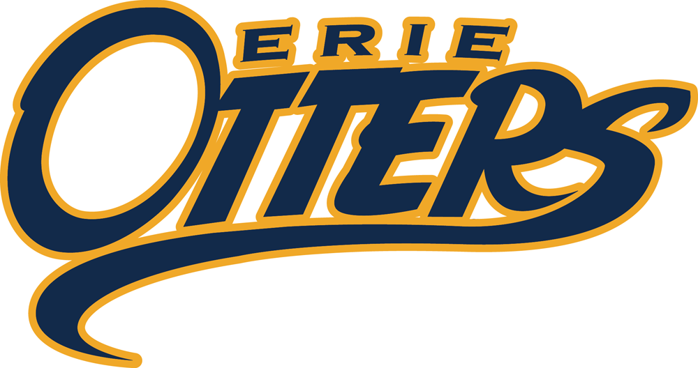 Erie Otters 2016-2019 Primary Logo iron on heat transfer